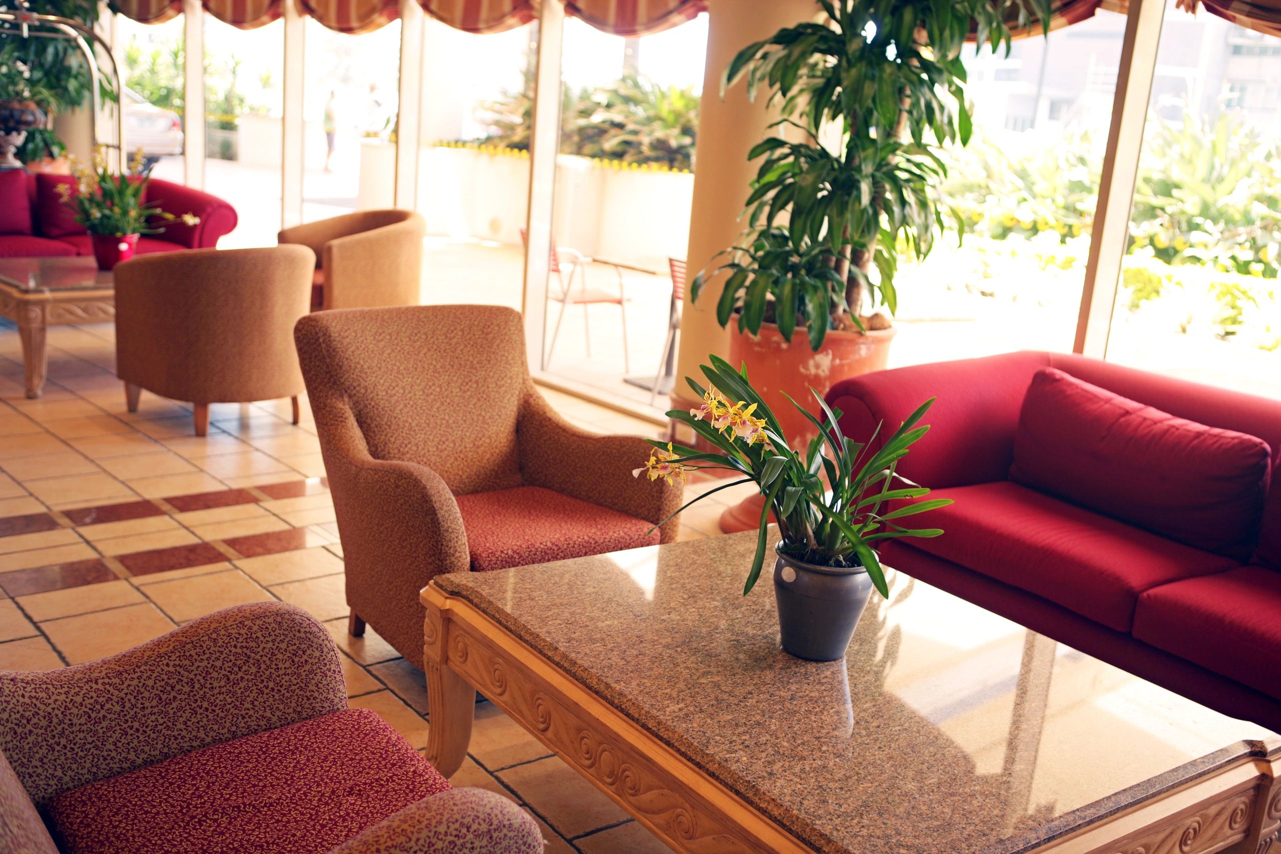 Comfortable lounge-style seating area